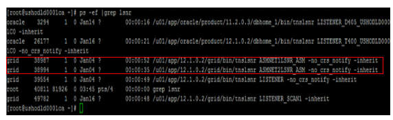 Exploring Flex Asm And Other Oracle Features